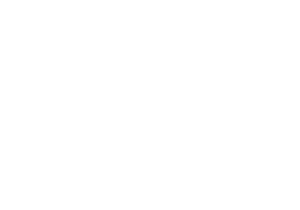 Chicken Guys